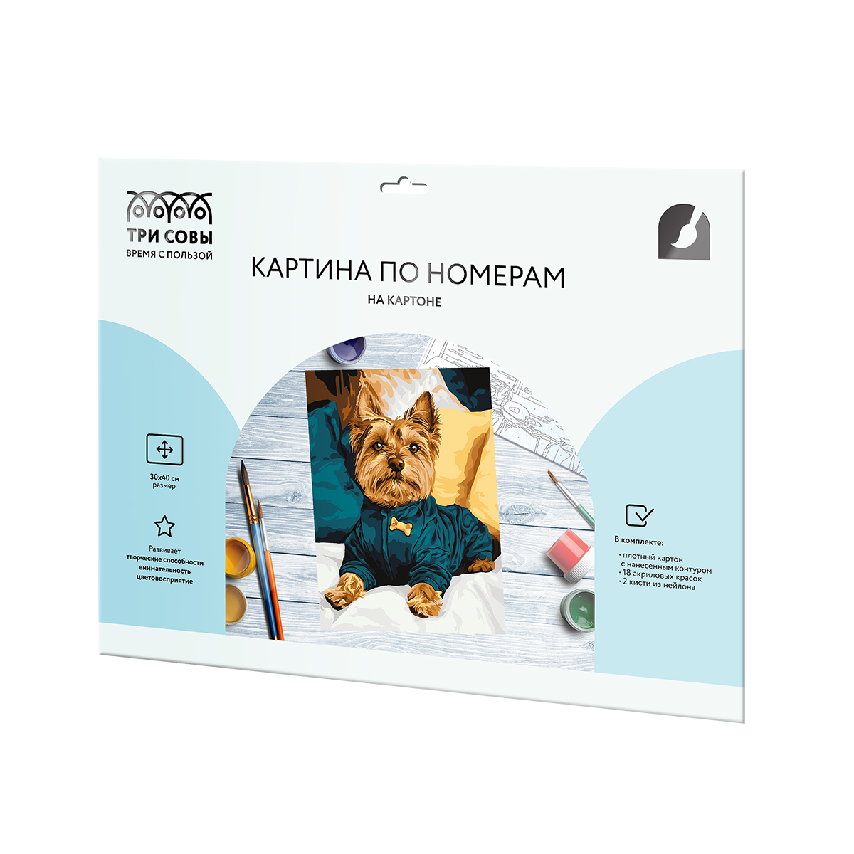 Картина по номерам на картоне ТРИ СОВЫ «Модный йорк», 30×40, с акриловыми красками и кистями