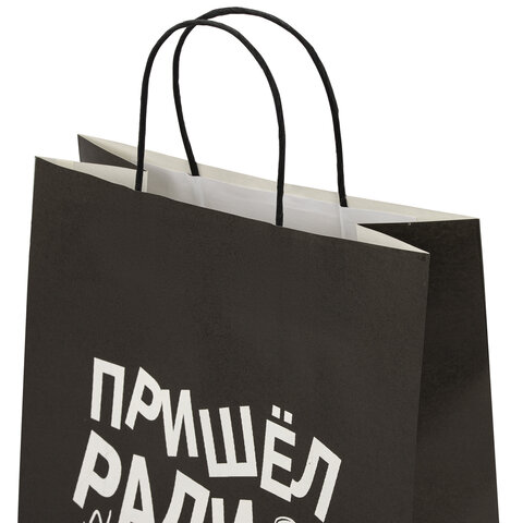 Пакет подарочный (1 штука) 26×13х32 см (L) «Пришел ради вискаря! », крафт, ЗОЛОТАЯ СКАЗКА
