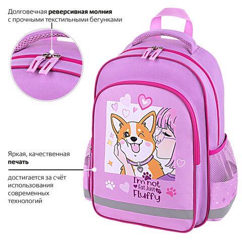 Рюкзак ПИФАГОР SCHOOL, 1 отделение, 3 кармана, «Fluffy akita», 38×28×14 см