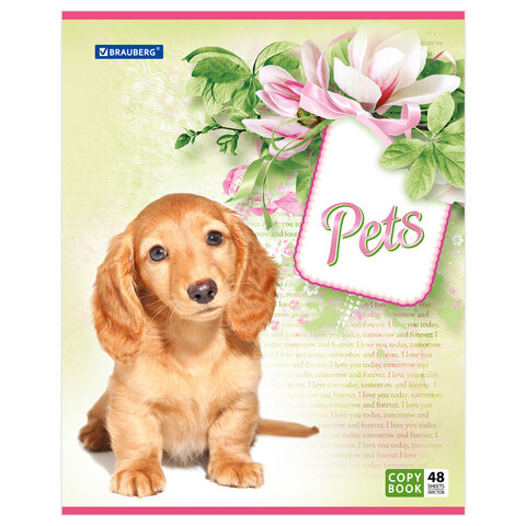 Тетрадь 48 л. BRAUBERG ЭКО, клетка, обложка мелованный картон, "Pets", 5 видов