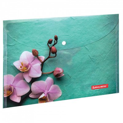 Папка-конверт с кнопкой BRAUBERG «Флора», А4, 160 мкм, до 100 листов, цветная печать, 228031
