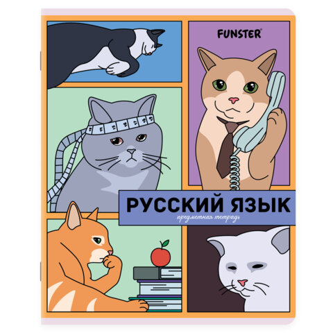 Тетради предметные, КОМПЛЕКТ 12 ПРЕДМЕТОВ, 48 л., TWIN-лак, FUNSTER (ФАНСТЕР), МЕМНЫЕ КОТЫ