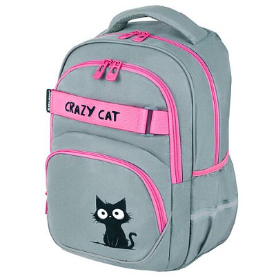 Рюкзак BRAUBERG MOTION, 2 отделения, 3 кармана, «Crazy cat», 41×28х17 см
