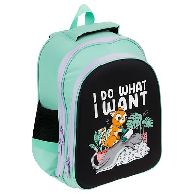 Ранец ArtSpace School Friend Light «Do what I want» 35×29×12см, 2 отделения, 2 кармана, анатомическая спинка