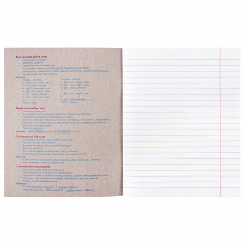 Тетрадь предметная «УЧЕНЬЕ СВЕТ» 48 л., обложка картон, РУССКИЙ ЯЗЫК, линия, подсказ, BRAUBERG ЭКО, 403533