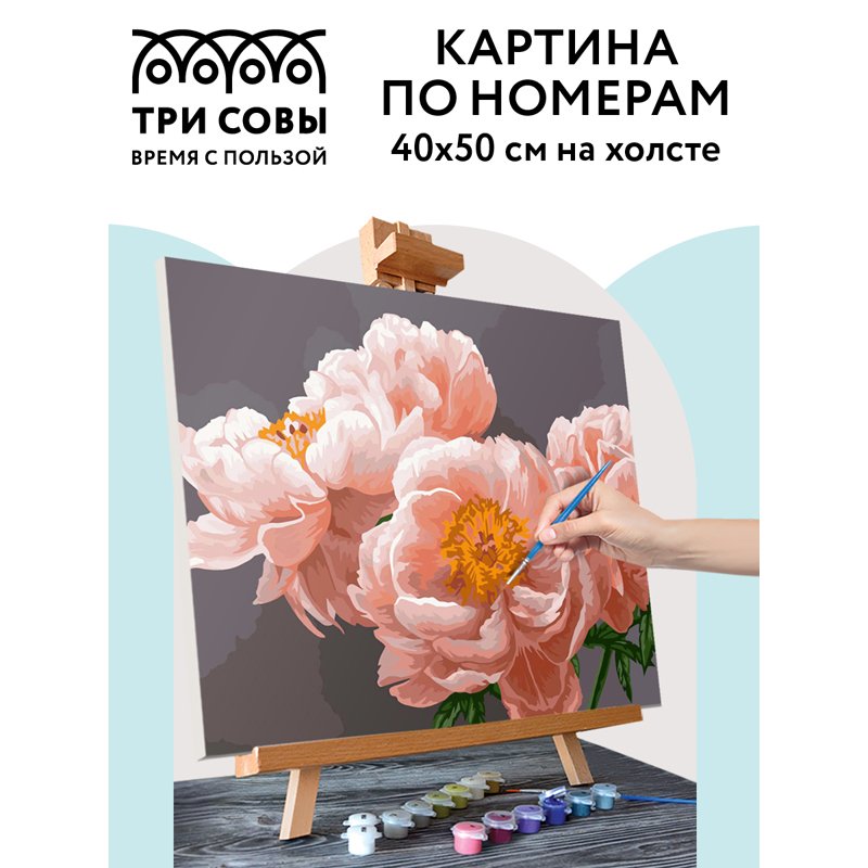 Картина по номерам на холсте ТРИ СОВЫ «Нежность», 40×50, с акриловыми красками и кистями