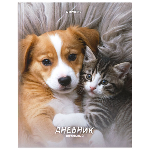 Дневник 5-11 класс 48 л., твердый, BRAUBERG, глянцевая ламинация, с подсказом, «МИКС»