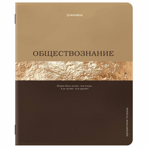 Тетради предметные, КОМПЛЕКТ 12 ПРЕДМЕТОВ, 48 л., матовая ламинация, фольга, BRAUBERG «GOLDY»