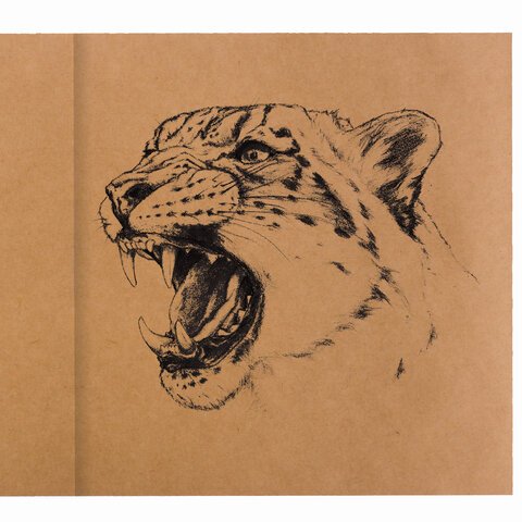 Альбом для рисования, крафт-бумага 70 г/м2, 205×195 мм, 40 л., на скобе, BRAUBERG ART CLASSIC