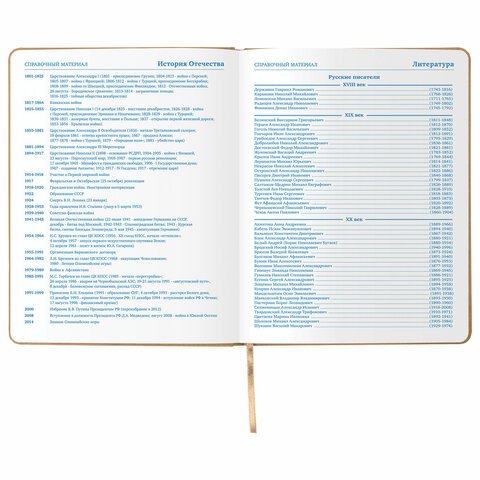Дневник 1-11 класс 48 л., обложка кожзам (твердая), тиснение, аппликация, BRAUBERG, «КОТЕНОК»