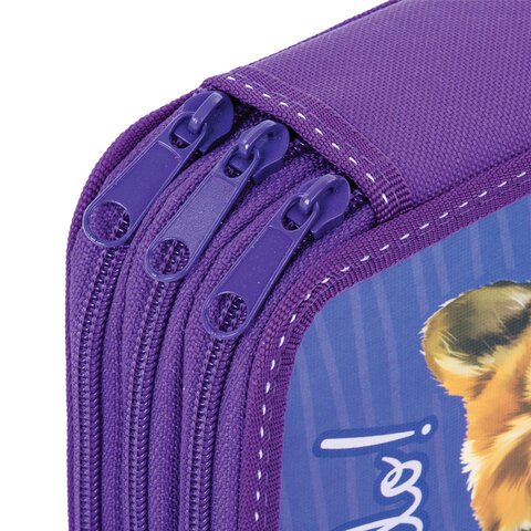 Пенал BRAUBERG3 отделенияламинированный картон«Little Dog»19×11 см229214