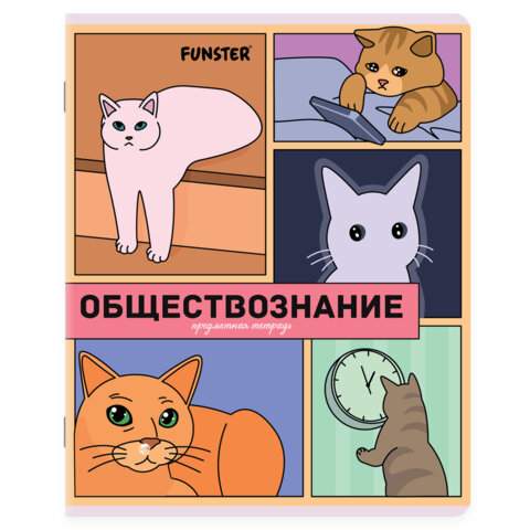 Тетради предметные, КОМПЛЕКТ 12 ПРЕДМЕТОВ, 48 л., TWIN-лак, FUNSTER (ФАНСТЕР), МЕМНЫЕ КОТЫ