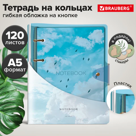 Тетрадь на кольцах А5 180×220 мм, 120 л., неоновый пластик, клапан, BRAUBERG, синий