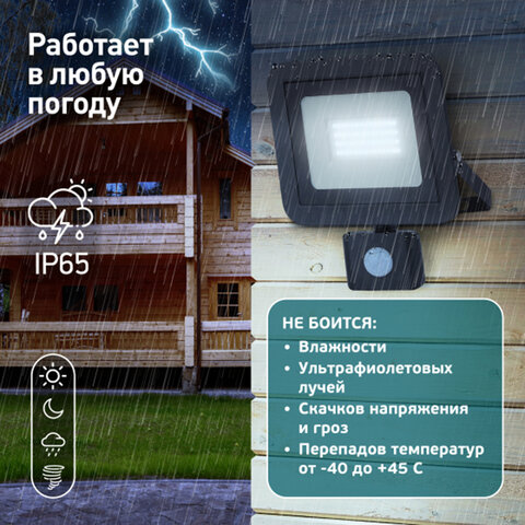 Прожектор светодиодный ЭРА, датчик движения, 20(175) Вт, 6500К, 1600 Лм, IP65, черный, LPR-041-2-65K-020