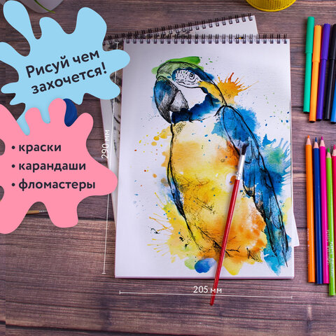 Альбомы для рисования А4 40 л., КОМПЛЕКТ 2 шт., гребень, обложка картон, BRAUBERG, 205×290 мм, «Хищники» (2 вида)