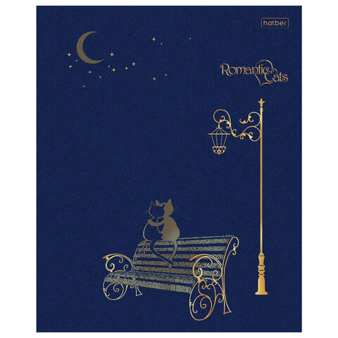Тетрадь А5 48 л. HATBER скоба, клетка, матовая ламинация, 3D, «Romantic» (5 видов в спайке)