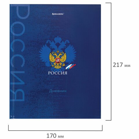 Дневник 5-11 класс 48 л., твердый, BRAUBERG, глянцевая ламинация, с подсказом, «Символика»