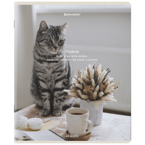 Тетради ДЭК А5 48 л. КОМПЛЕКТ 5 шт. BRAUBERGклеткаматовая ламинация«Cats»404673