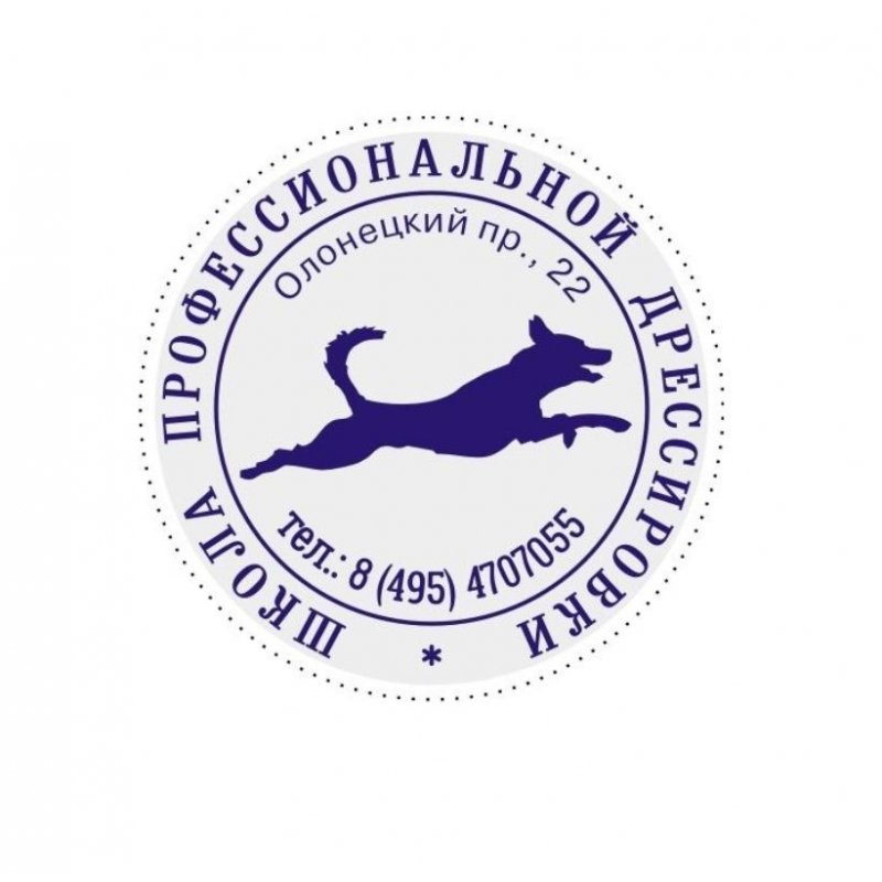 Оснастка для печати овальная Colop Stamp Mouse R40 40 мм фиолетовая
