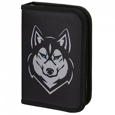 Пенал BRAUBERG, 1 отделение, полиэстер, 21×14 см, «Husky»