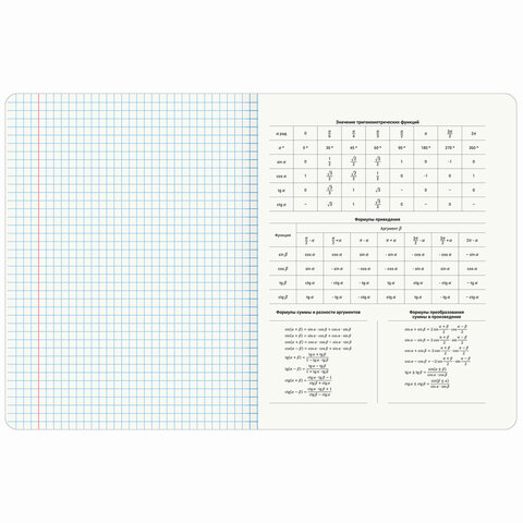 Тетради предметные, КОМПЛЕКТ 12 ПРЕДМЕТОВ, 48 л., TWIN лак, BRAUBERG «МЕМЫ»