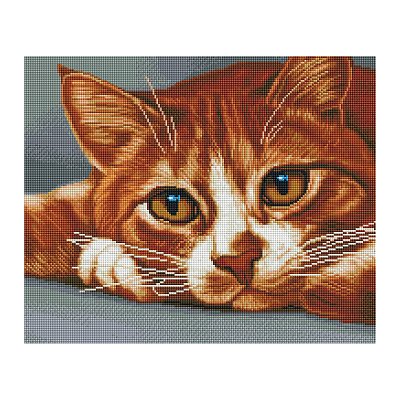 Алмазная мозаика ТРИ СОВЫ «Рыжик», 40×50см, холст, картонная коробка с пластиковой ручкой