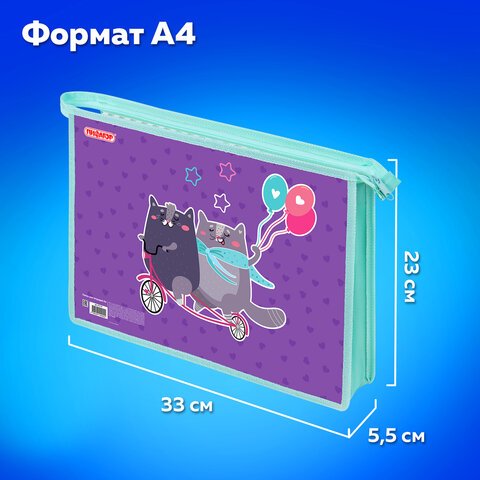 Папка для тетрадей ПИФАГОР А4, 1 отделение, картон/пластик, на молнии, «Bike cats»
