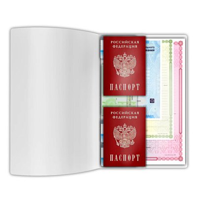 Папка-органайзер, обложка семейная для 2-х комплектов документов, А4, ПВХ, матовая, STAFF