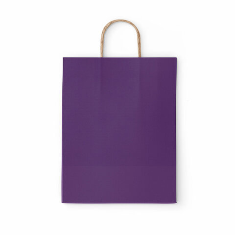 Крафт-пакет бумажный «Dark violet» 26×15х35 см, с кручеными ручками, 80 г/м2, моноцвет