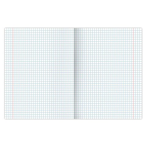 Тетради 12 л. КОМПЛЕКТ 10 шт. BRAUBERG, клетка, обложка картон, ПИТОМЦЫ