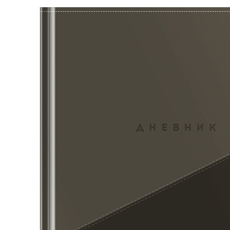 превью Дневник 1-11 кл. 48л. (твердый) ArtSpace «Duo. Серый», иск. кожа, тиснение, ляссе