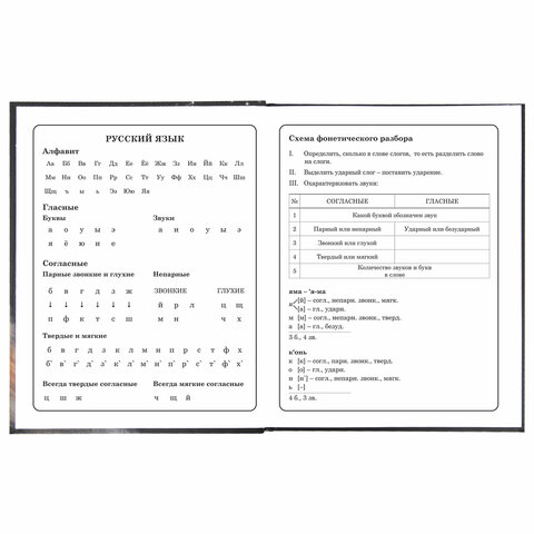 Дневник 1-4 класс 48 л., твердый, BRAUBERG, блестки, с подсказом, «Котик»