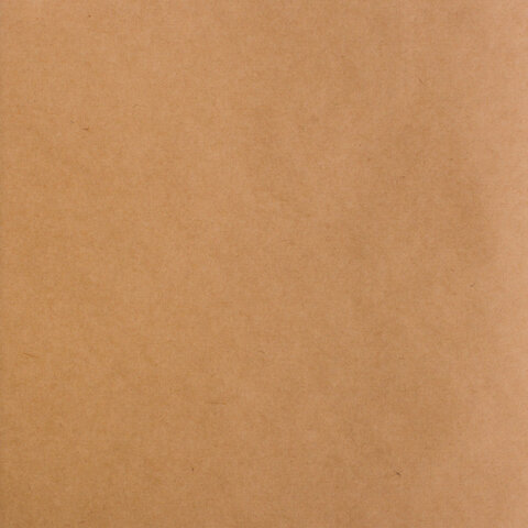 Альбом для рисования, крафт-бумага 70 г/м2, 205×195 мм, 40 л., на скобе, BRAUBERG ART CLASSIC