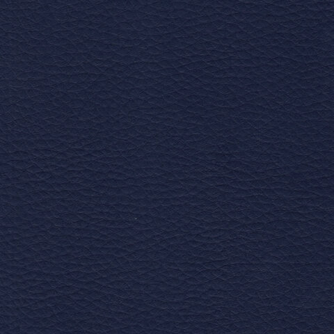 Диван мягкий двухместный «Хост» М-431200×620х780 ммбез подлокотниковэкокожатемно-синий