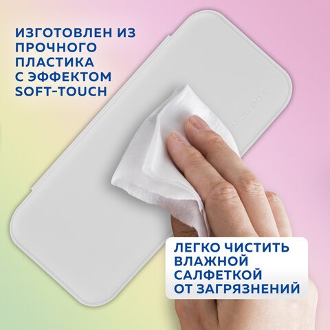 Пенал пластиковый BRAUBERG, серый, наклейки в комплекте, 21×9х3 см