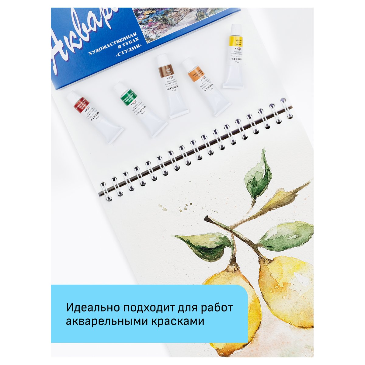 Альбом для акварели 24л., А4, на спирали Гамма «Студия», 200г/м2, среднее зерно, перфорация на отрыв