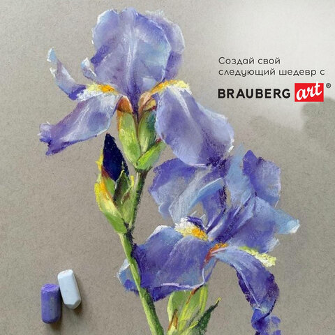 Пастель сухая художественная BRAUBERG ART «CLASSIC», 48 цветов, круглое сечение