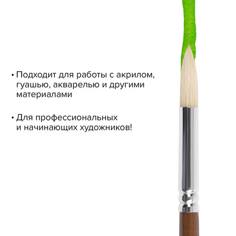 Кисть художественная профессиональная BRAUBERG ART «CLASSIC», щетина, круглая, № 8, длинная ручка