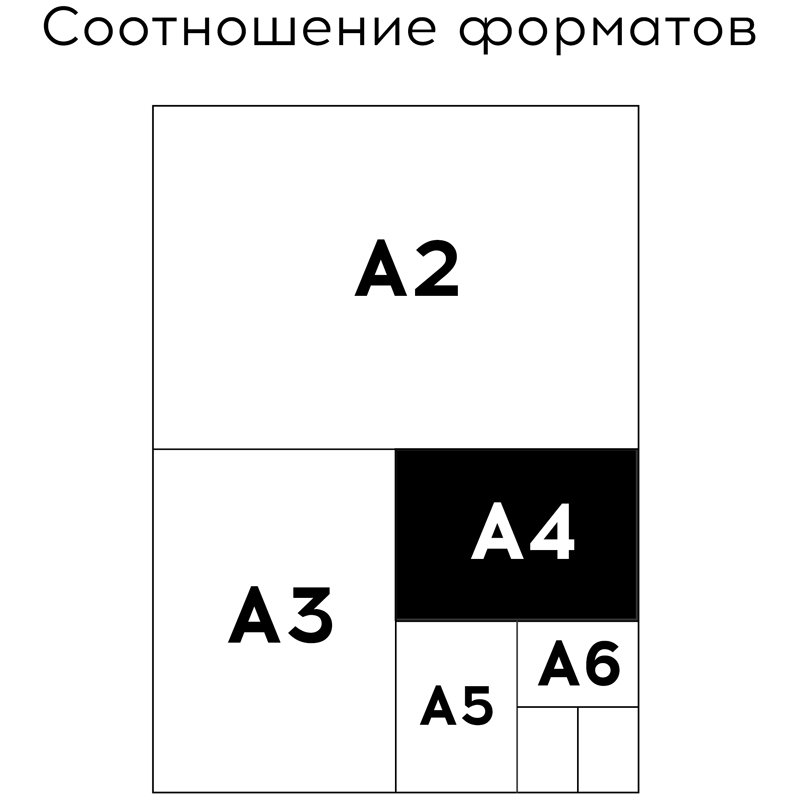 Альбом для рисования 40л., А4, на скрепке Greenwich Line «Flowers collection», 120 г/м2