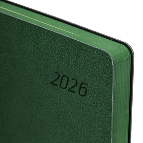 Ежедневник датированный 2026 А5 138×213 мм, BRAUBERG «Stylish», под кожу, гибкий, зеленый
