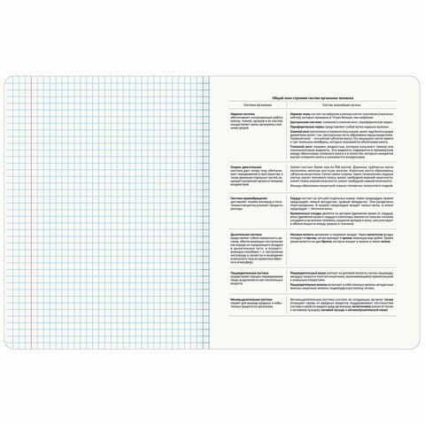 Тетрадь предметная «PASTEL» 48 л., SoftTouch, фольга, БИОЛОГИЯ, клетка, BRAUBERG