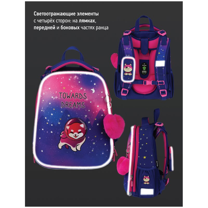 Ранец Berlingo Expert «Akita boy» 37×28×16см, 2 отделения, 2 кармана, анатомическая спинка