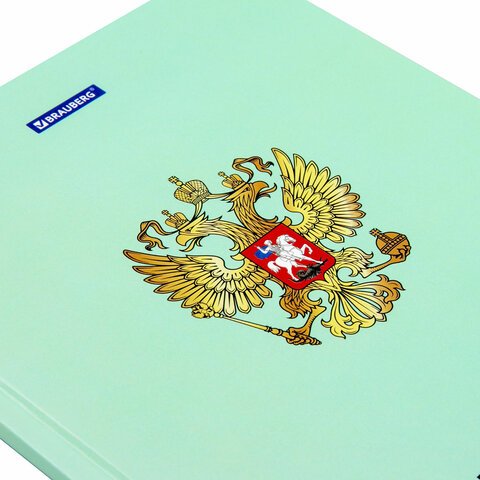 Дневник 1-4 класс 48 л., твердый, BRAUBERG, глянцевая ламинация, с подсказом, «Герб»