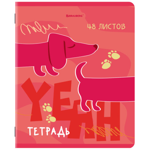 Тетради ДЭК А5 48 л. КОМПЛЕКТ 5 шт. BRAUBERG, скоба, клетка, TWIN-лак, «PINK MOOD»
