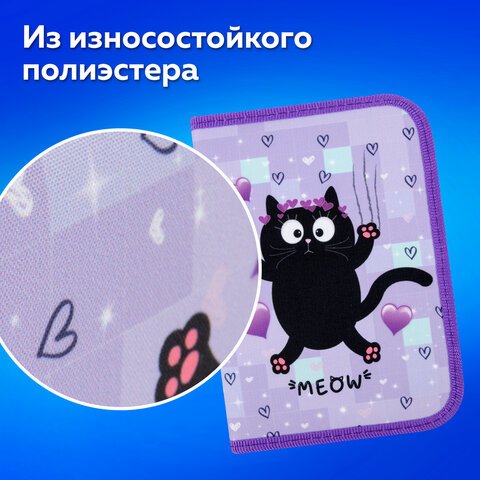 Пенал ПИФАГОР, 1 отделение, 2 откидные планки, полиэстер, 20×14 см, «Falling cat»