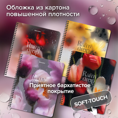 Тетради ДЭК А5 48 л. КОМПЛЕКТ 4 шт., BRAUBERG, гребень, клетка, 80 г/м2, Soft-Touch, «Aesthetics»