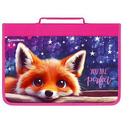 Папка на молнии BRAUBERG А4 с ручкой, с органайзером, 1 отделение, «Cute fox»