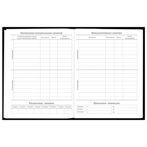 Дневник 5-11 класс 48 л., твердый, BRAUBERG, матовая ламинация, с подсказом, «Гуси»