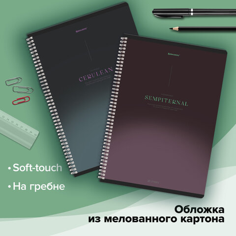 Тетради ДЭК А4 96 л. КОМПЛЕКТ 2 шт. BRAUBERG гребень, клетка, SoftTouch, «Peaceful»