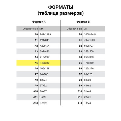 Блокнот А5, 40 л., склейка, выборочный лак, HATBER, «Яркие краски природы», 145×205 мм, 40Б5вмB1к